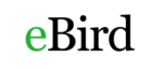 eBird