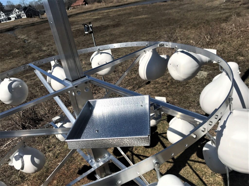 Mini-Grant 2021 PUMA Gourds